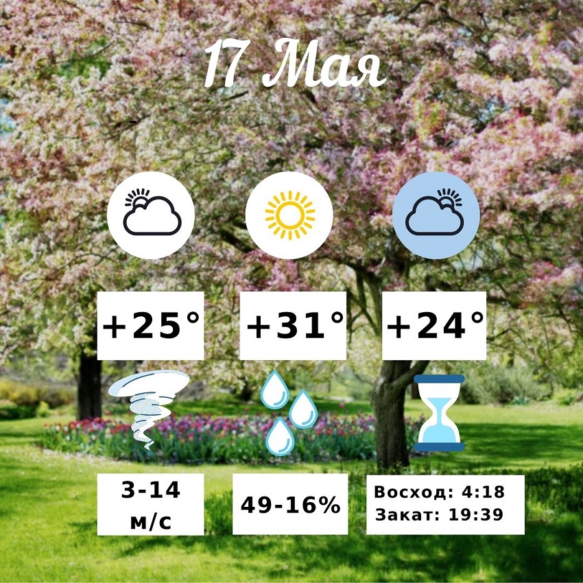 17 мая по прогнозу синоптиков в Волгограде будет +31° и сильный ветер