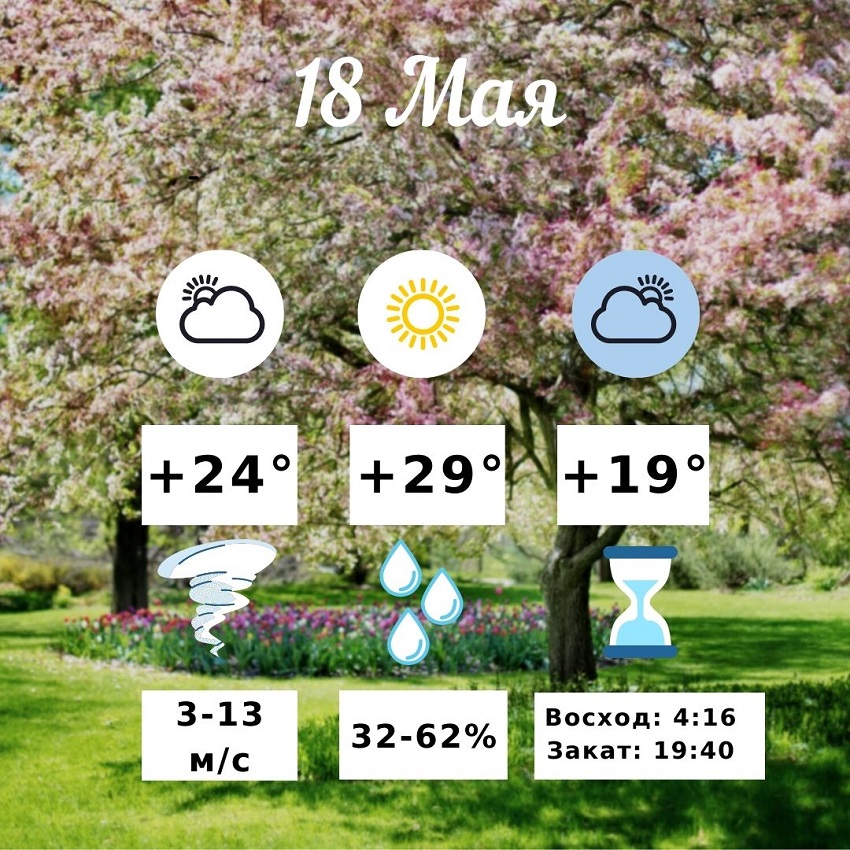 Погода в Волгограде 18 мая: станет немного прохладнее до +29 и возможен дождь