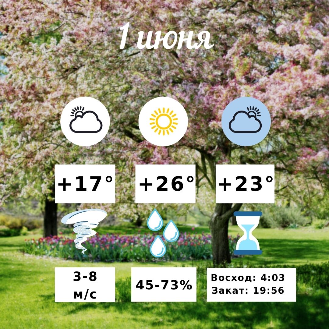 Небольшой дождь и 26 градусов тепла днём: погода в Волгограде 1 июня