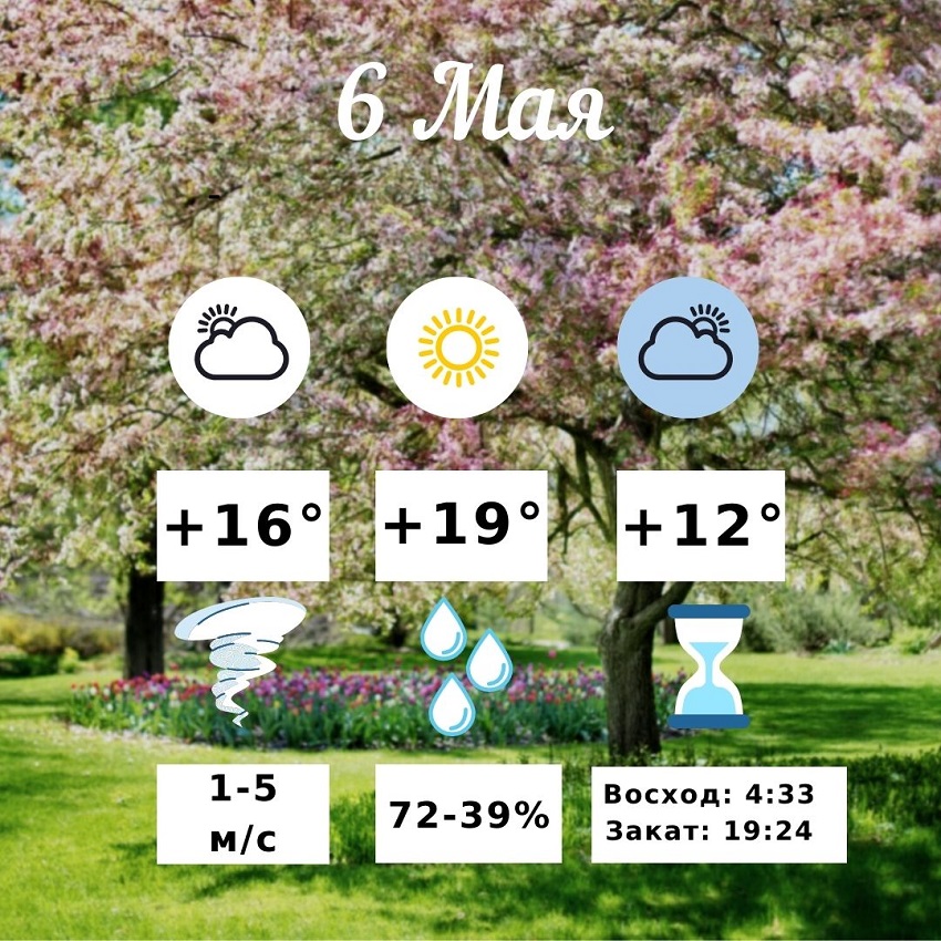 +19 градусов тепла и солнечный день: погода в Волгограде на 6 мая
