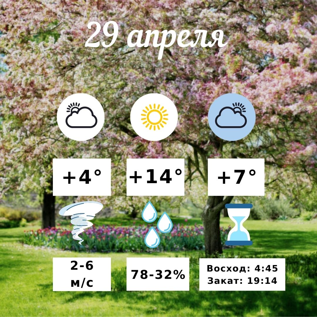 14 градусов тепла и безоблачное небо: погода в Волгограде 29 апреля 