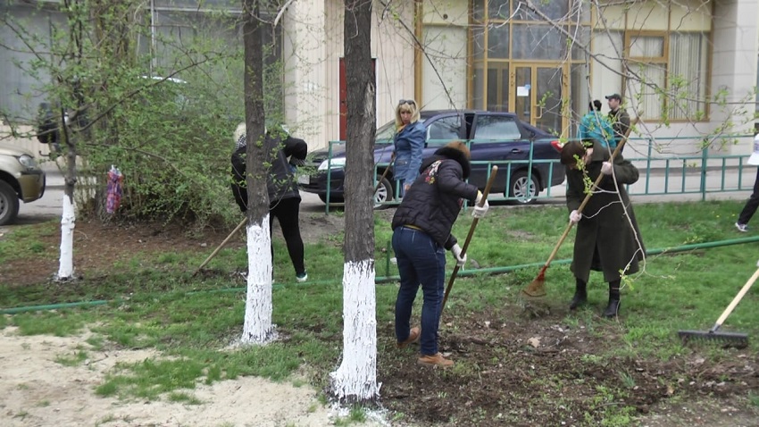 В Волжском стартовал проект на получение международной премии «Экология дело каждого!»