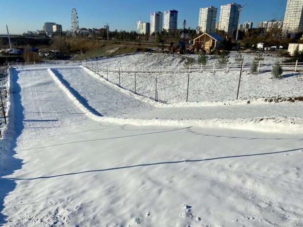 Волгоградский Центральный парк засыпал снег