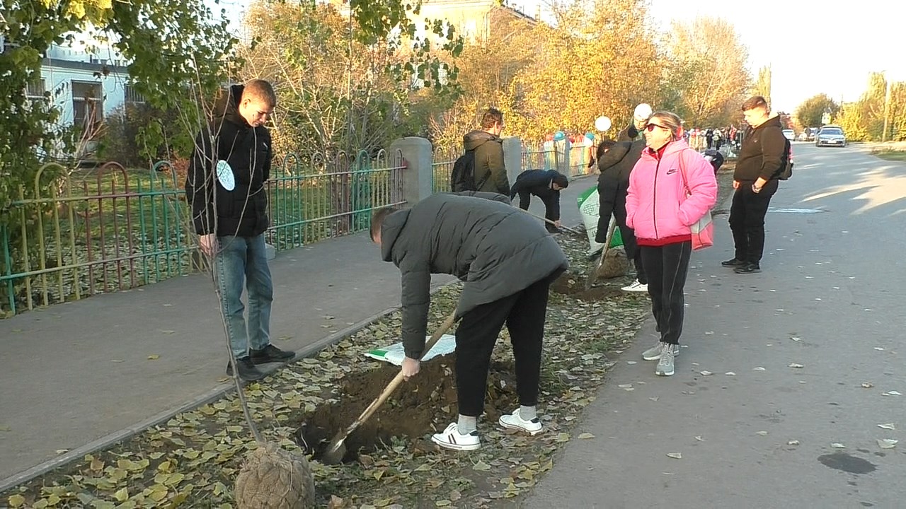 В Волгограде продолжат благоустройство Комсомольского сада