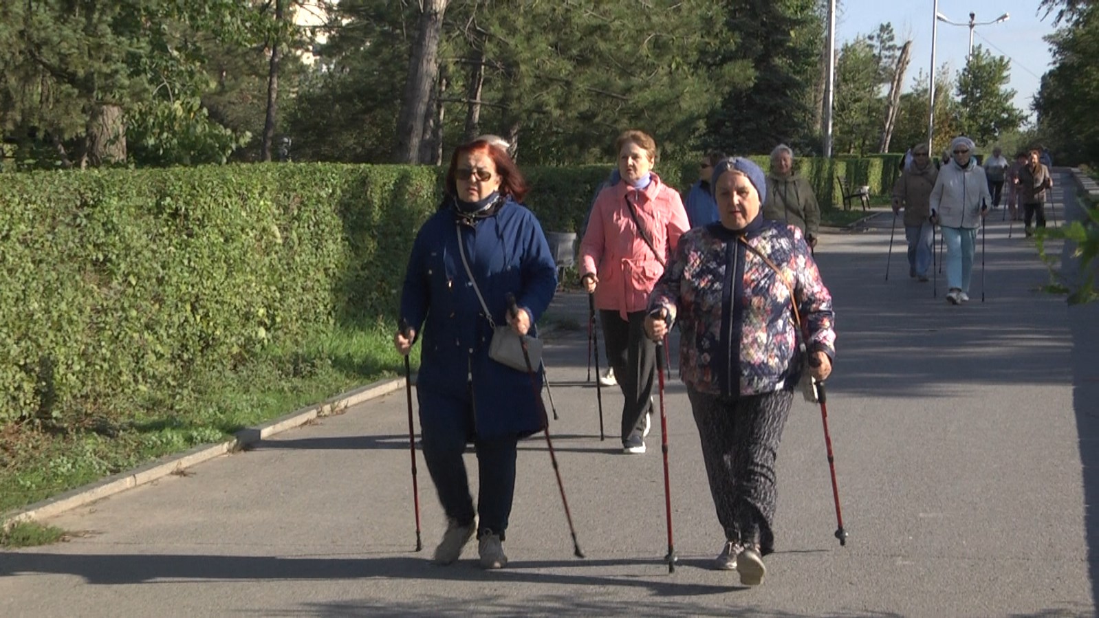 В Волгограде накануне дня пожилого человека прошла зарядка на свежем воздухе