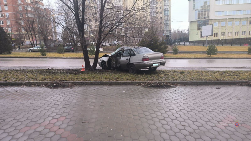 В центре Волгограда молодой водитель протаранил дерево