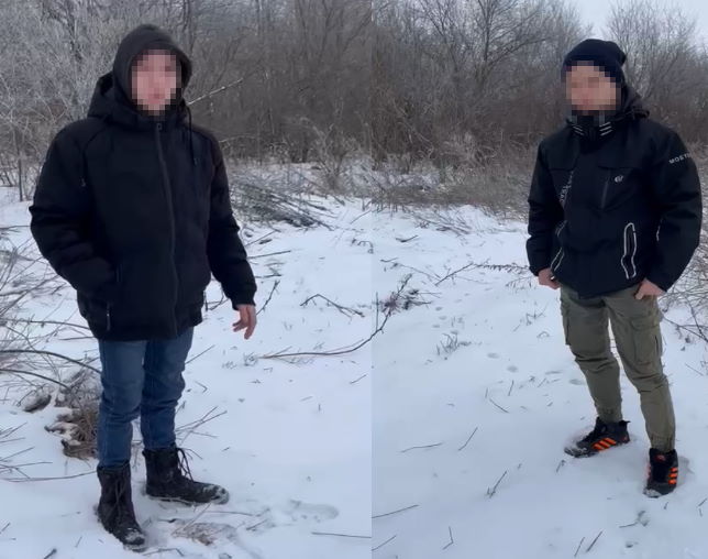 В Волгоградской области подростки зарезали собаку для хайпа