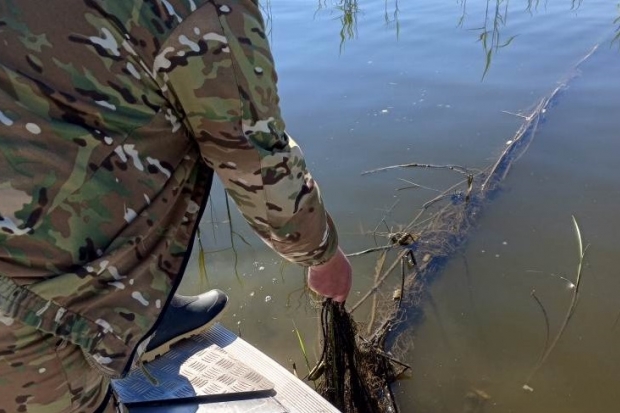 В Волгоградской области нашли 2 тонны оставленной в сетях рыбы
