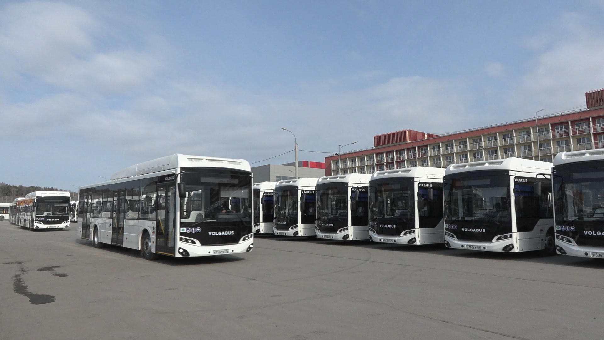 В Волгоградскую область поступили новые автобусы для межмуниципальных маршрутов