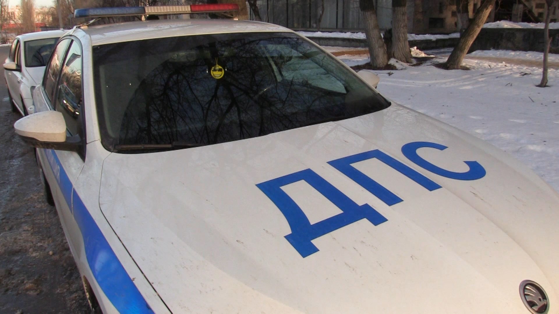 В Волгоградской области после ДТП с деревом погиб автомобилист