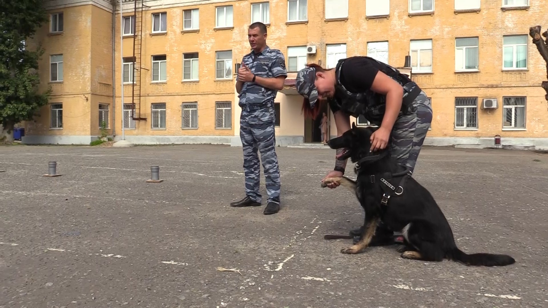 Волгоградские полицейские в очередной раз напомнили детям о правилах безопасности