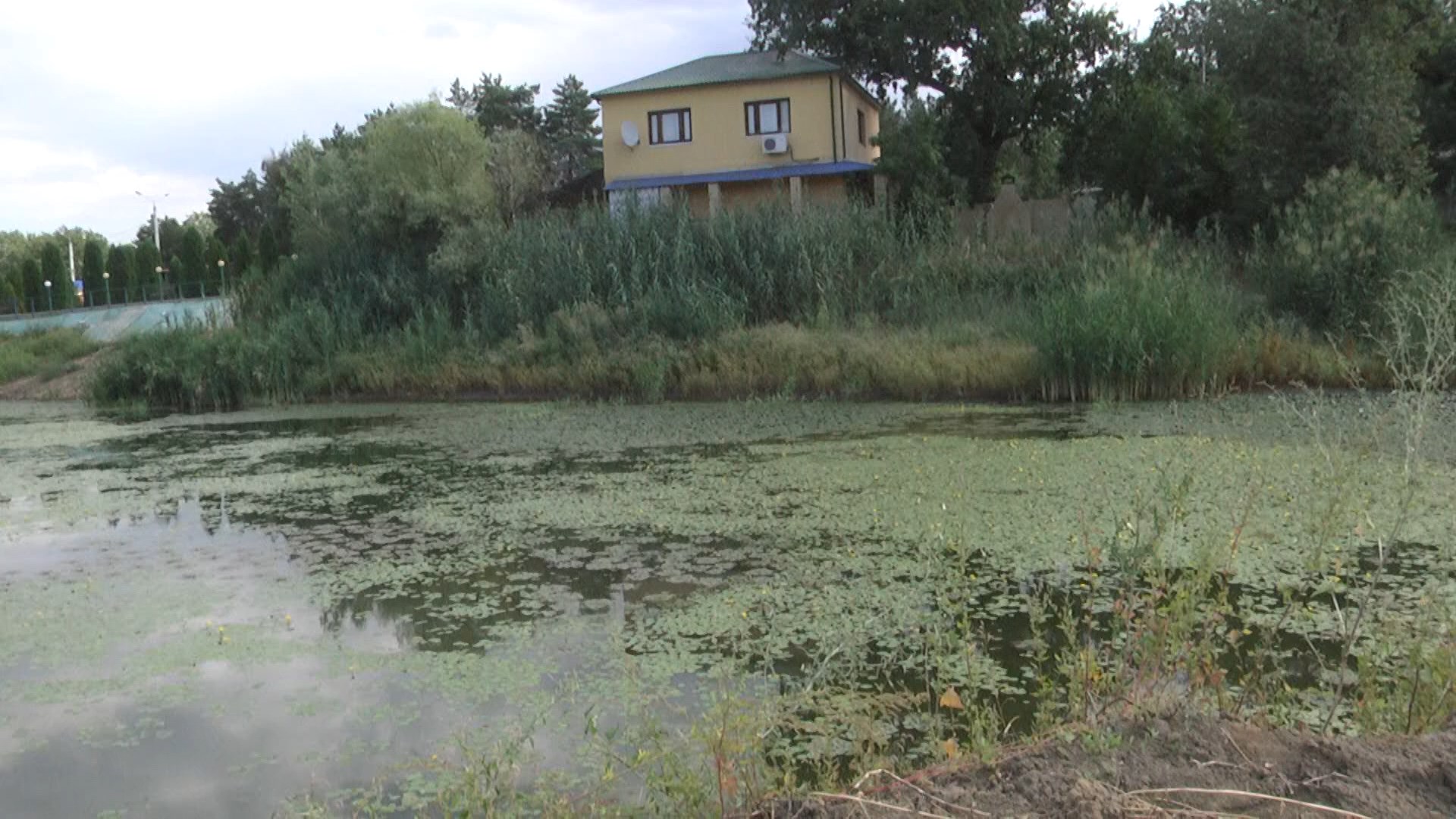 Работу Волгоградской области по обводнению поймы оценили на федеральном уровне