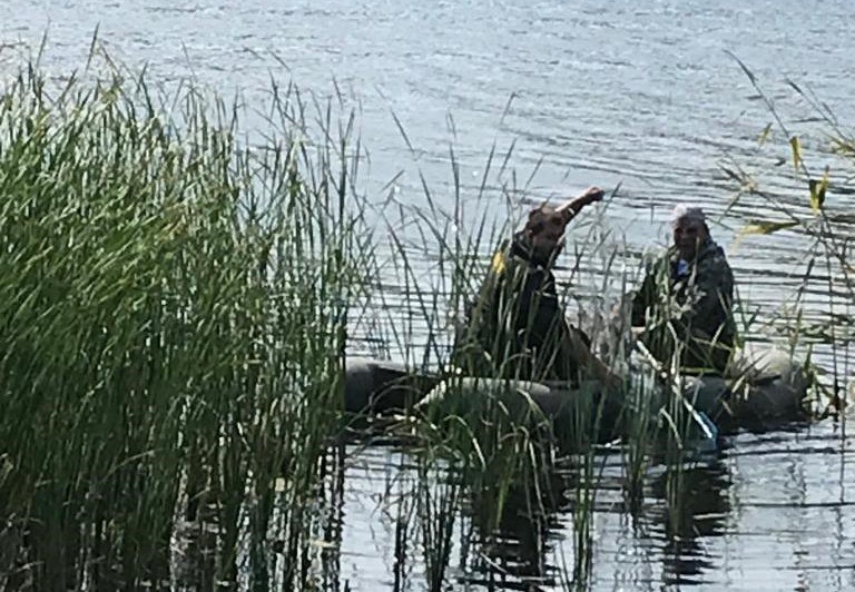 В Волгоградской области спасают краснокнижную выхухоль