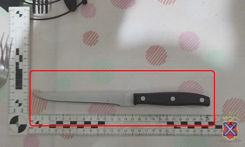 В Волгоградской области мужчина приставил нож к шее знакомой, требуя денег на спиртное
