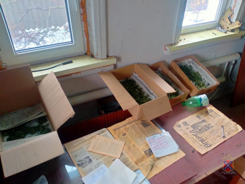 У жителя Волгоградской области изъяли 4 кг марихуаны