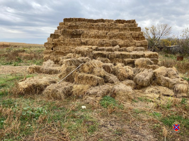 Житель Волгоградской области украл у односельчанина 350 кипов сена