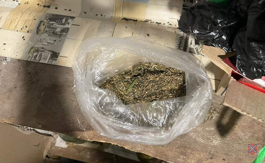 В Волгоградской области у 37-летнего мужчины нашли 150 граммов марихуаны