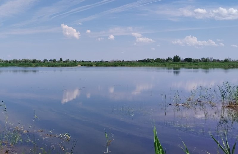 В Волгоградской области завершается расчистка трех водоемов