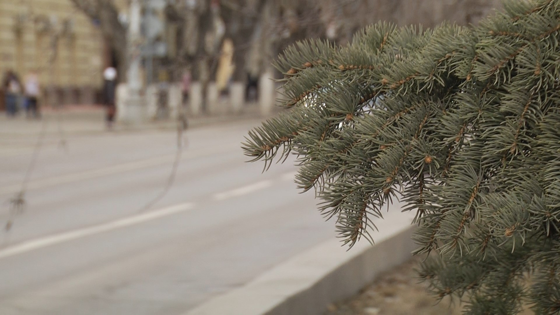 Во вторник в Волгограде небольшой снег | Телеканал “Волгоград 1”