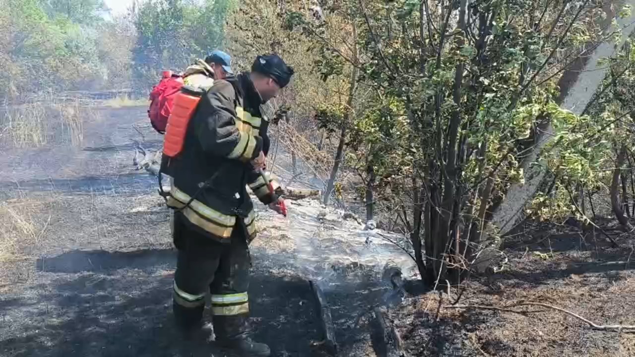 В Волгоградской области чуть не сгорел детский лагерь | Телеканал “Волгоград  1”