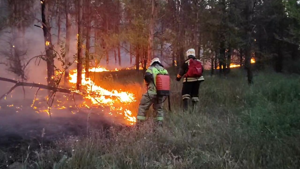 Пожароопасный сезон в 2024 году продлится с 1 апреля по 31 октября |  Телеканал “Волгоград 1”