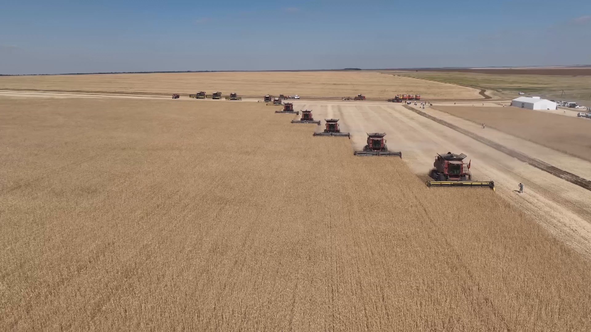 На полях Волгоградской области собрали первый миллион тонн зерна