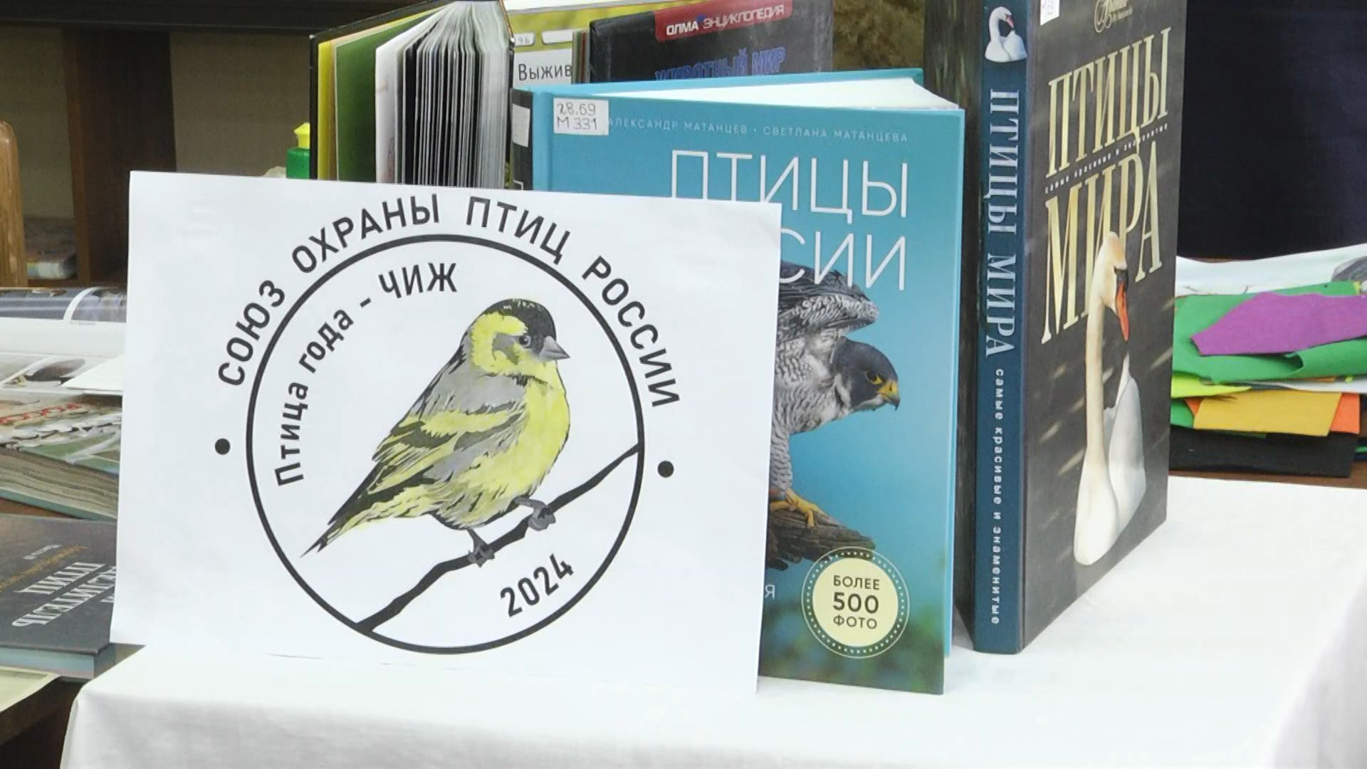 Волгоградские школьники познакомились с историей Дня птиц