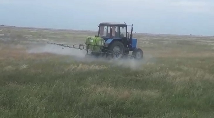 В Волгоградской области начался сев озимых культуры